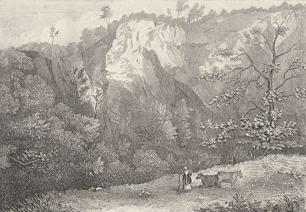 DEVON. Near Chudleigh, Devon. DUGDALE 1845 old antique vintage print picture